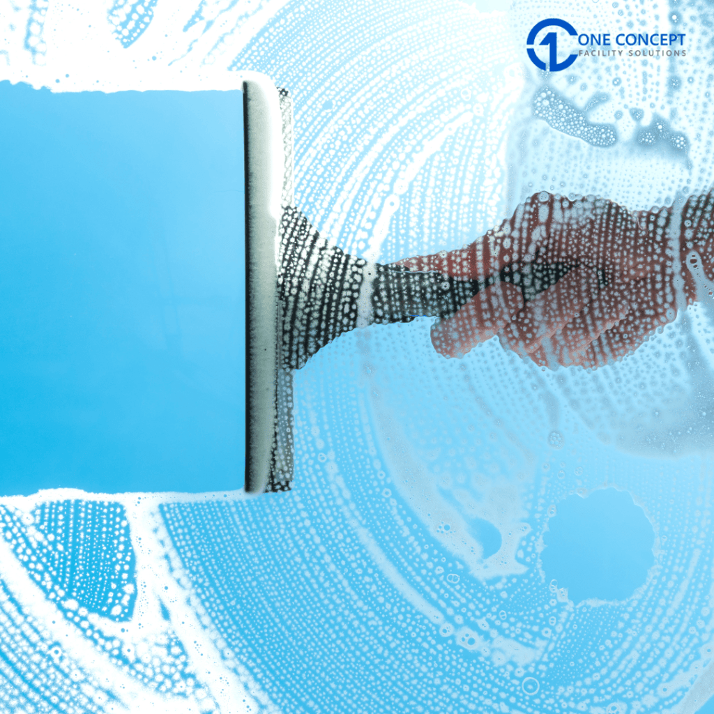Window Cleaning Services