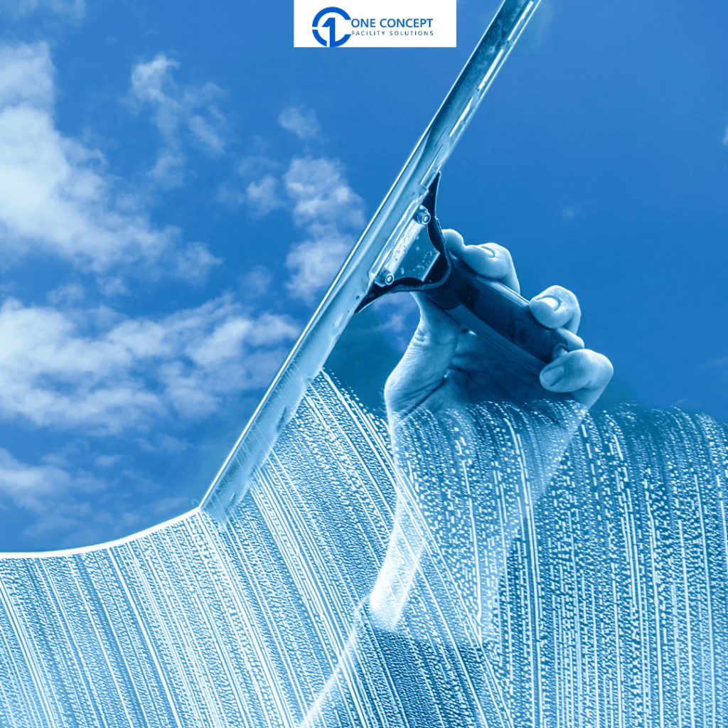 Window Cleaning Services